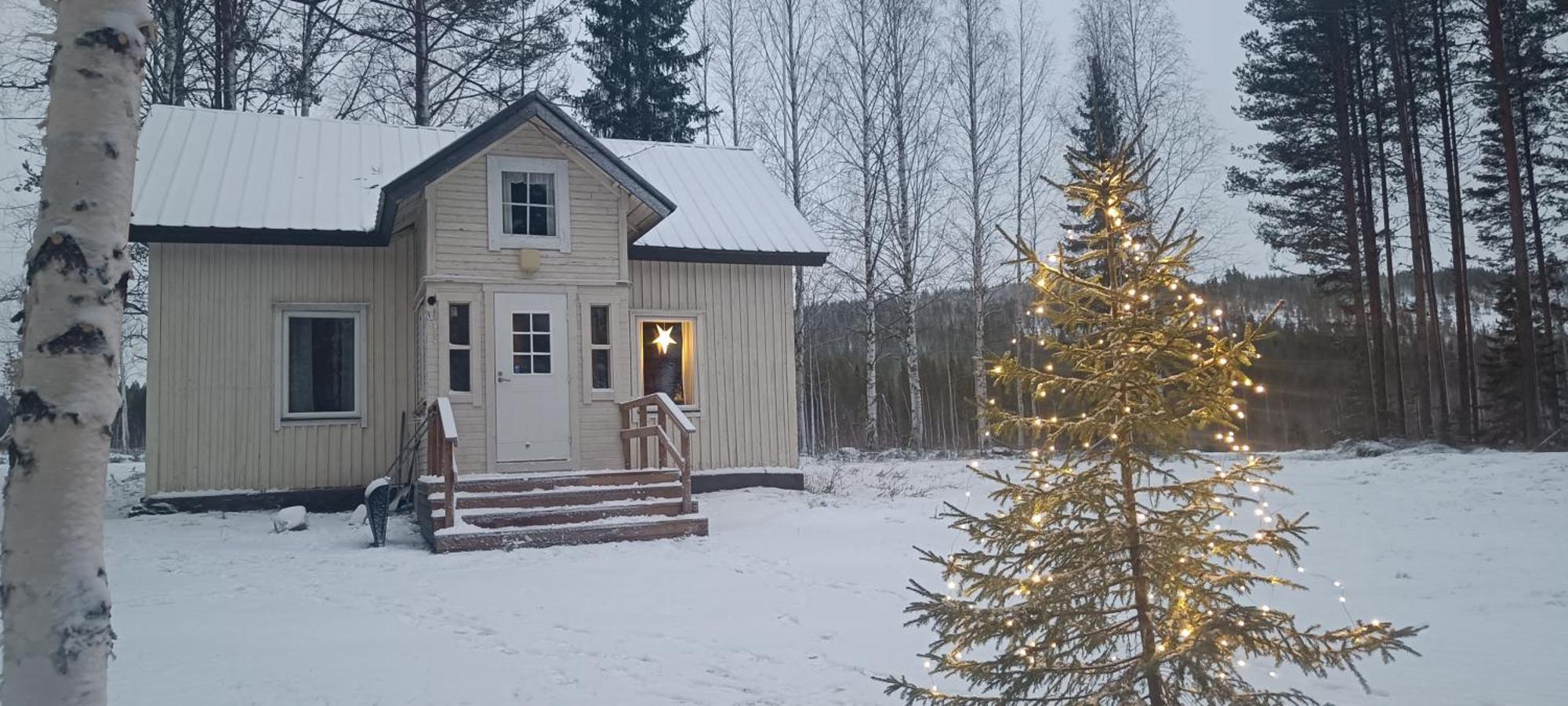 Pine Forest Log House Villa Rovaniemi Buitenkant foto